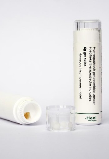 Homeoden Heel Nux vomica D6 (250 Milliliter)