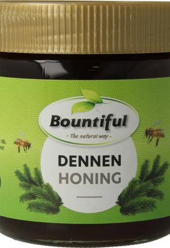 Bountiful Dennen honing (500 Gram)