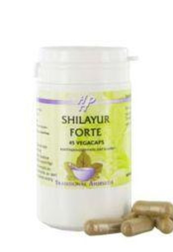 Holisan Shilayur forte (45 Vegetarische capsules)