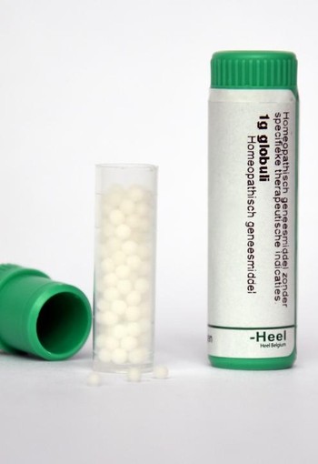Homeoden Heel Hepar sulphur 200K (1 Gram)