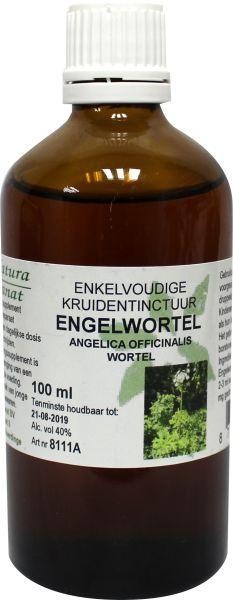 Natura Sanat Angelica officinalis/engelwortel tinctuur bio (100 Milliliter)