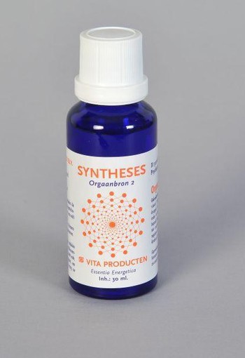 Vita Syntheses orgaanbron 2 psyche (30 Milliliter)