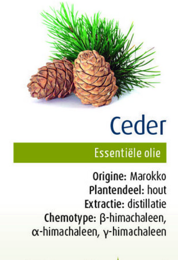 Physalis Ceder bio (10 Milliliter)
