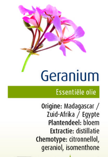 Physalis Geranium (10 Milliliter)
