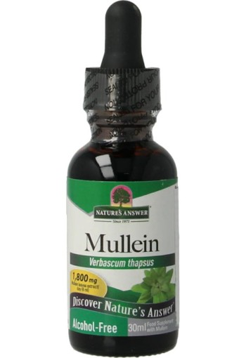 Natures Answer Mullein verbascum thapsus extract alcoholvrij (30 Milliliter)